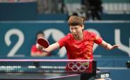 开云下载-中国羽毛球队力克韩国羽毛球队，马琳统治全场的简单介绍