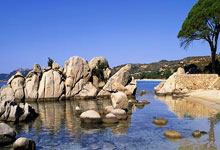 开云体育在线-包含实力对比：武汉卓尔对阵天津泰达的词条